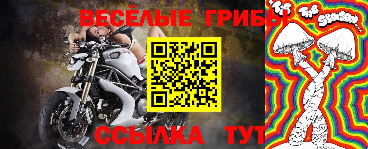 Псилоцибиновые грибы Psilocybe  Вход с VPN  Можайск 